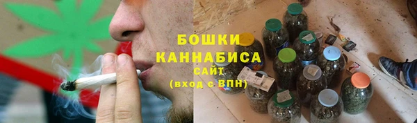 шишки Алзамай