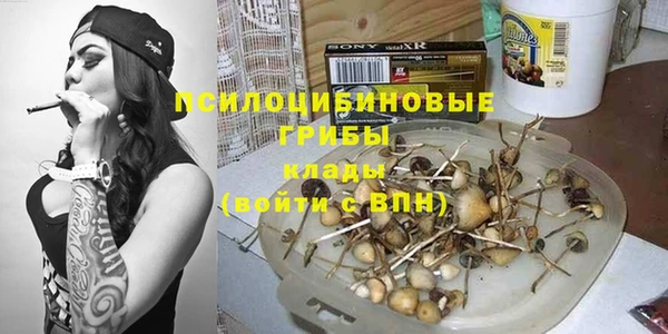 шишки Алзамай
