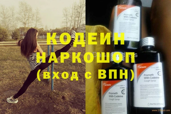 индика Арсеньев