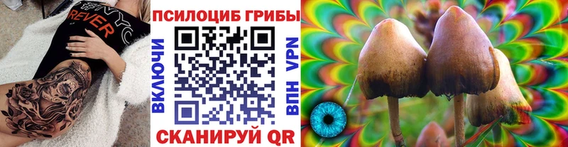 наркота  Лянтор  hydra рабочий сайт  Галлюциногенные грибы Magic Shrooms 